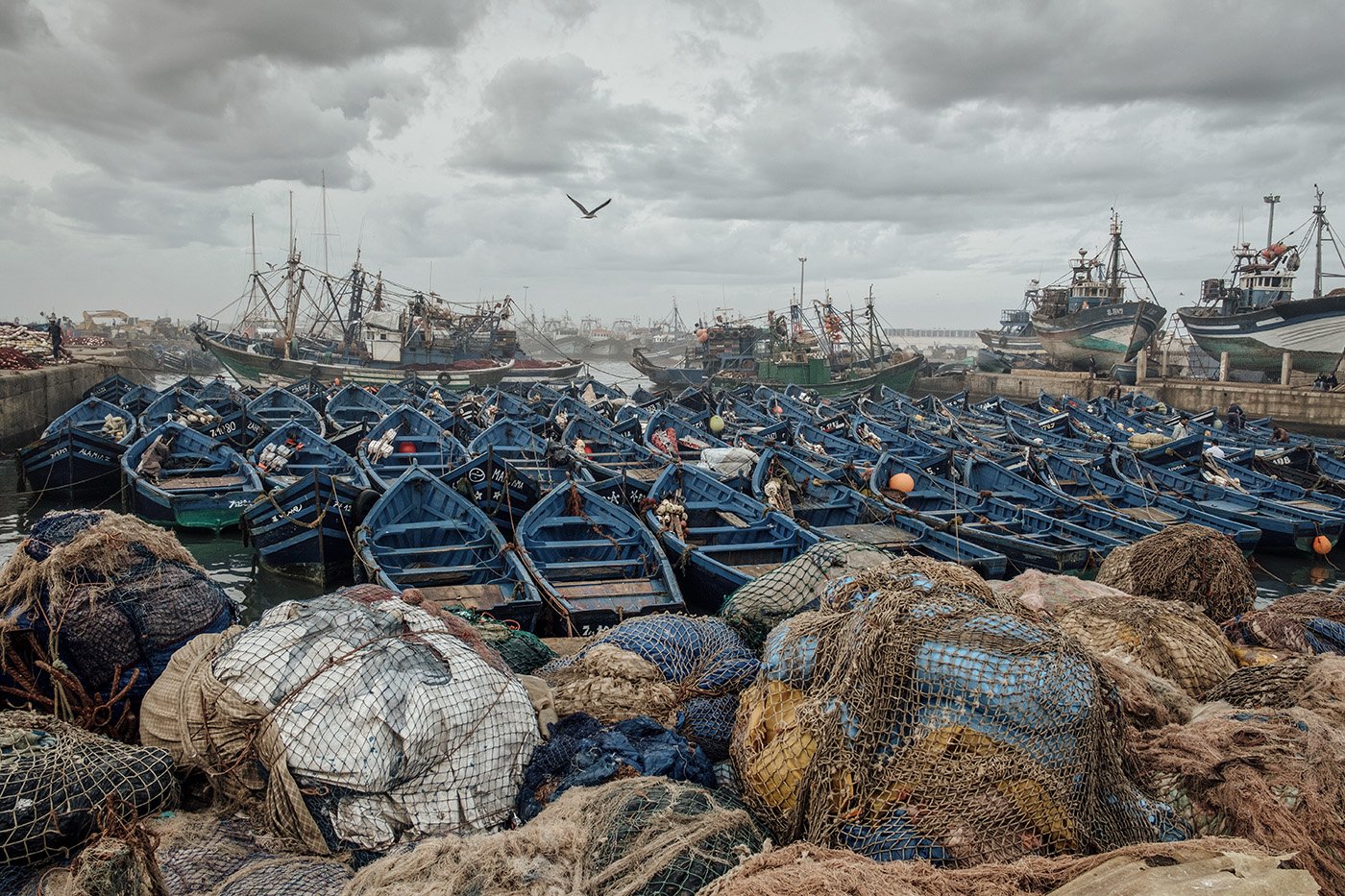 Sony World Photography Awards 2017 - Mein Foto in den Top 50