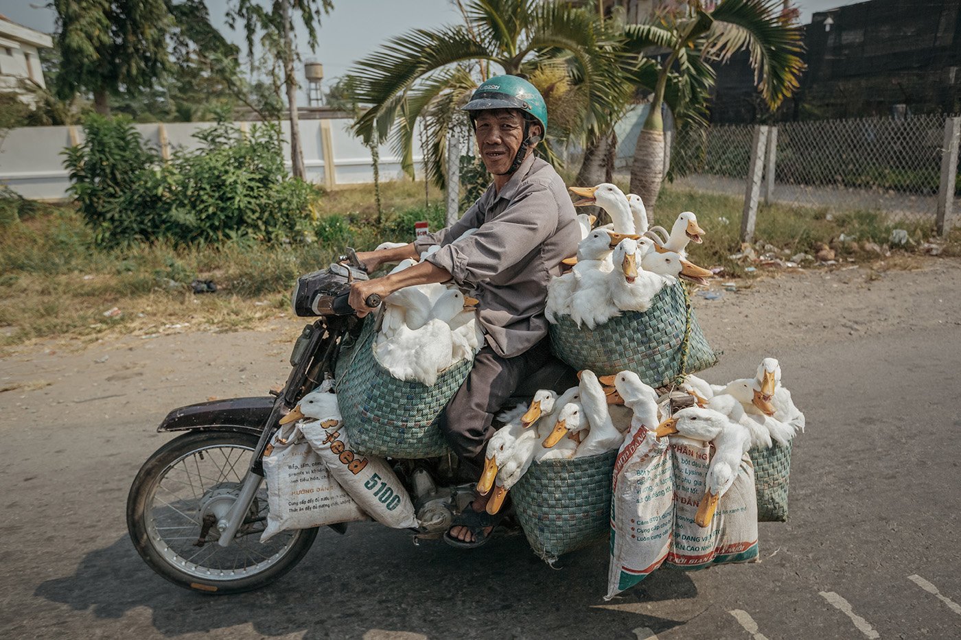Vietnam - Riders On the Storm